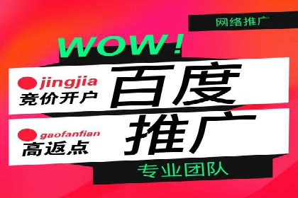 行业领先企业的SEM代理案例剖析